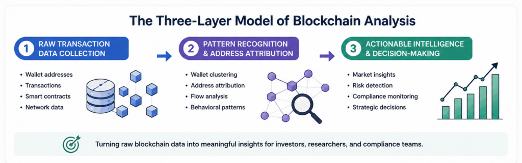 Understanding Blockchain Analysis | Forvest