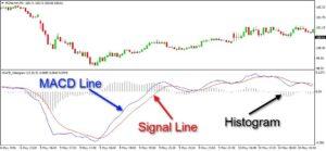MACD indicator structure showing MACD line, signal line, and histogram used to measure crypto momentum