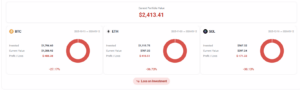crypto portfolio breakdown by asset showing Bitcoin Ethereum Solana investment value current value and loss percentage illustrating multi asset performance impact
