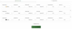 real crypto portfolio calculation input example with multiple assets allocation entry timing and fee structure