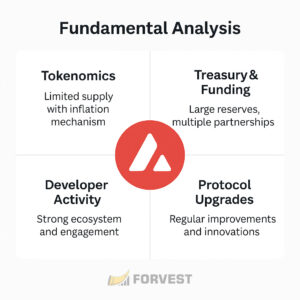 Avalanche AVAX fundamental analysis infographic showing tokenomics, treasury and funding, developer activity, and protocol upgrades.